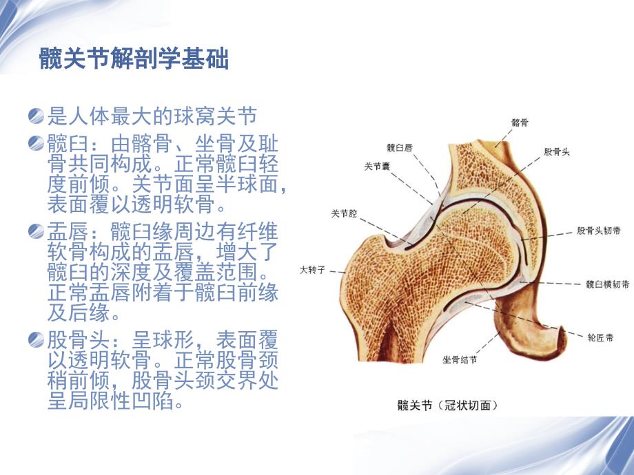 髋关节撞击综合征x线表现_第2页