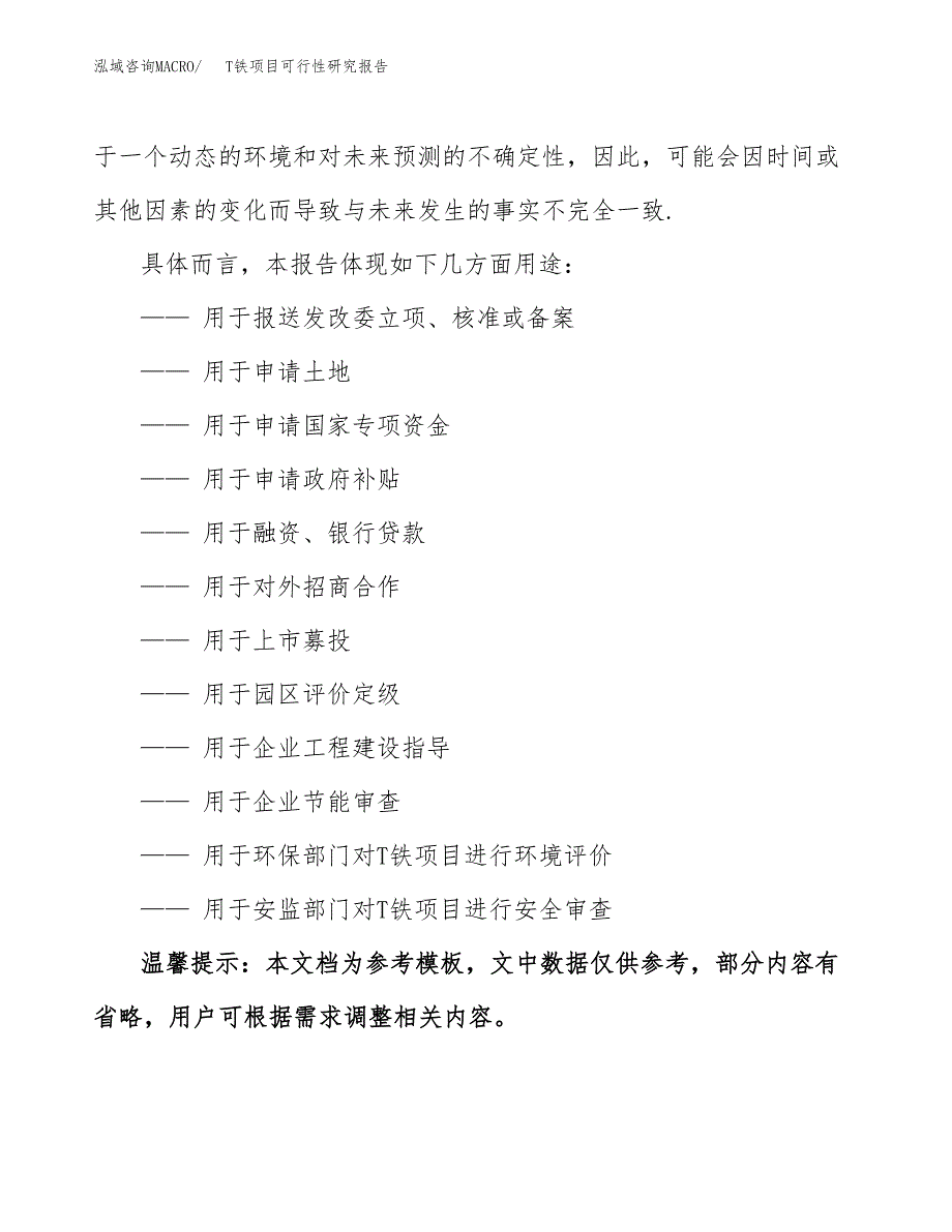 T铁项目可行性研究报告参考大纲目录及重点难点分析_第3页