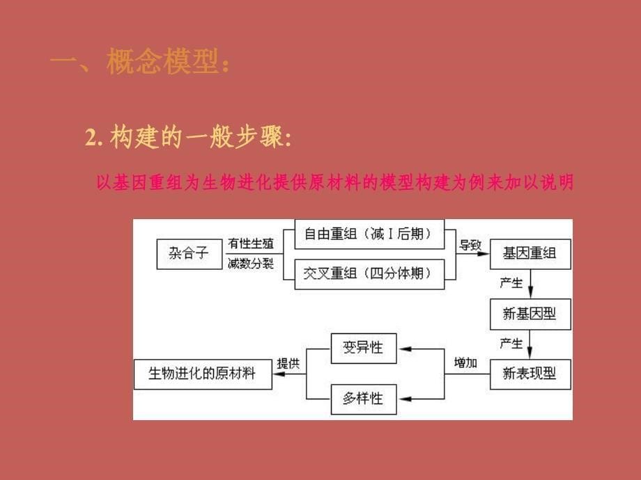 生物：《常见生物模型构建的一般步骤》课件（新人教版必修2）.ppt_第5页