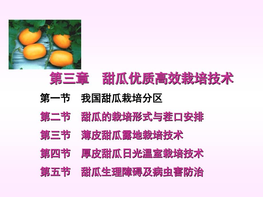 甜瓜优质栽培技术2资料_第1页