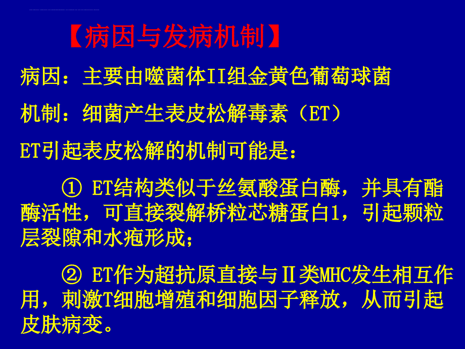 细菌性皮肤病.ppt_第4页