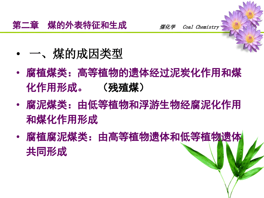 第二章煤的外表特征和生成_第3页