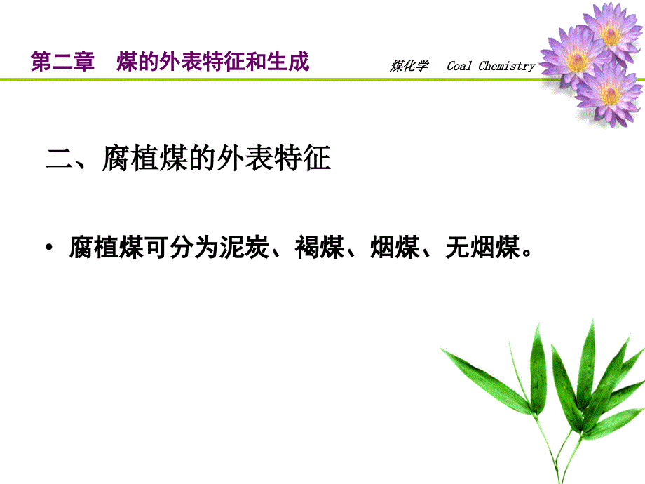 第二章煤的外表特征和生成_第4页