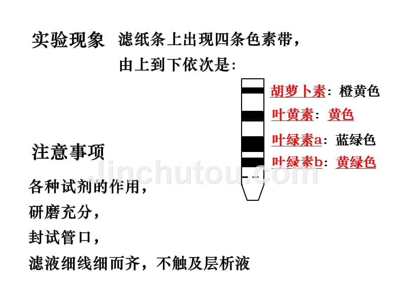 人教版高中生物1-5-4资料_第2页