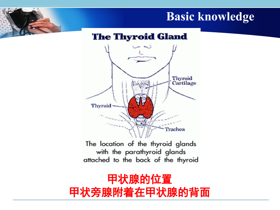 甲状腺毒症表现.ppt_第4页