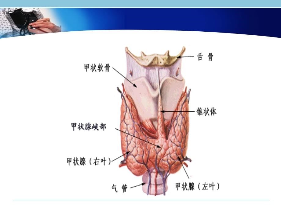 甲状腺毒症表现.ppt_第5页