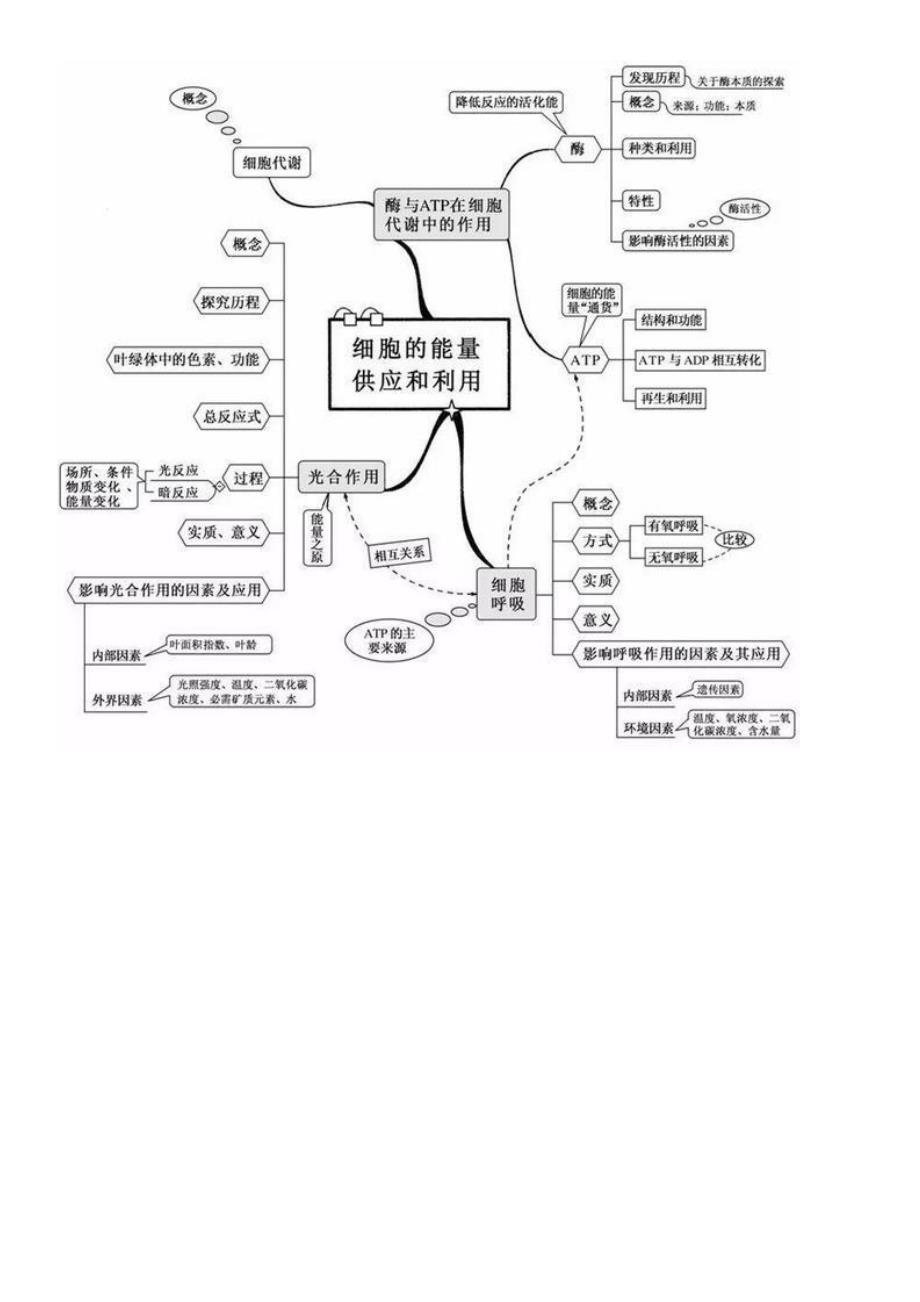 看透高中生物这思维导图_第4页