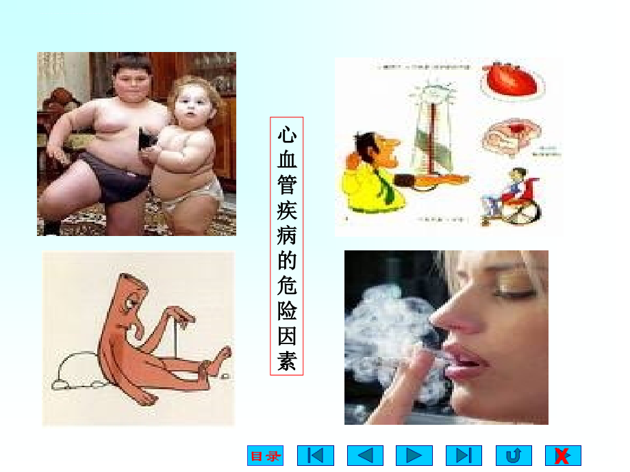 生理学-第四章：血液循环.ppt_第4页