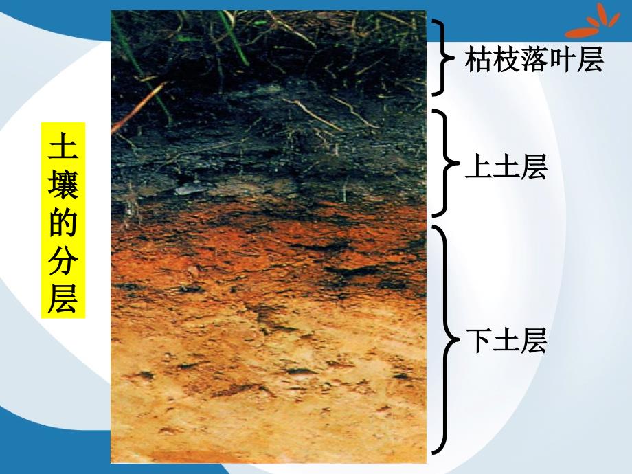 粤教版小学三年级科学上册土壤的成分_第3页