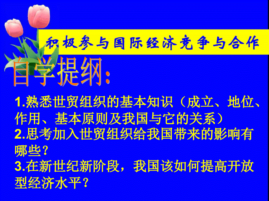 积极参与国际经济竞争与合作优秀课件_第3页