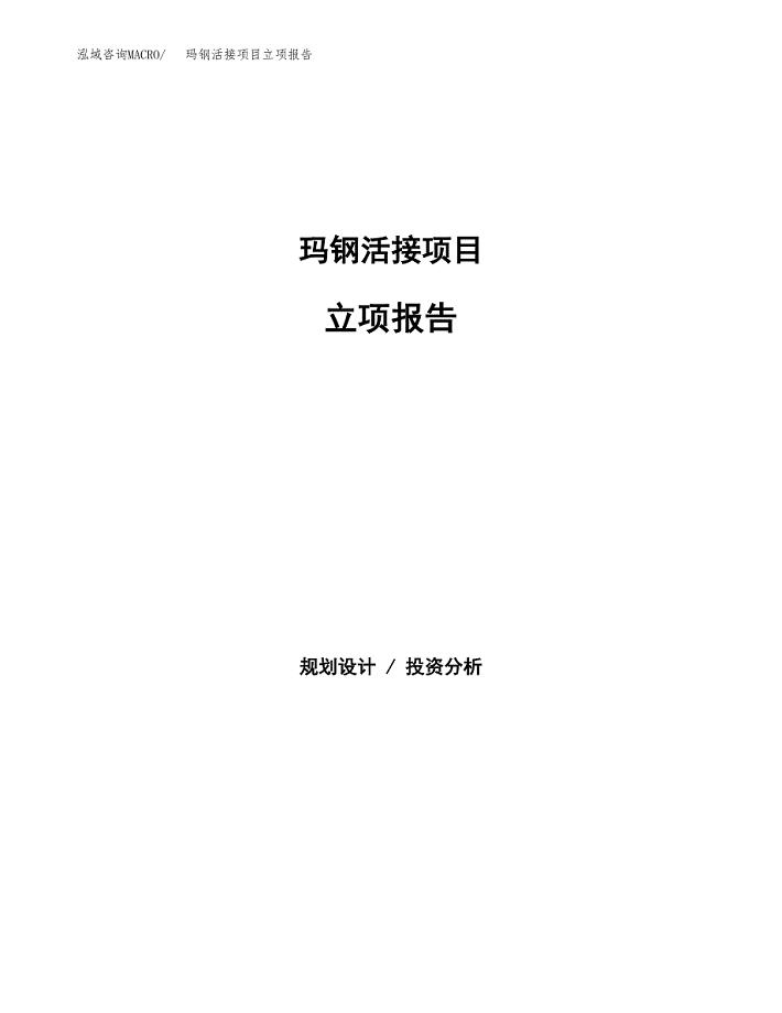 玛钢活接项目立项报告(参考模板及重点内容).docx