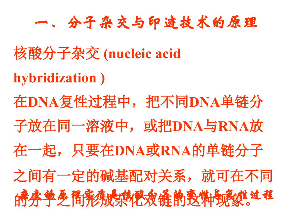 常用分子生物学技术的原理与应用stz_第3页