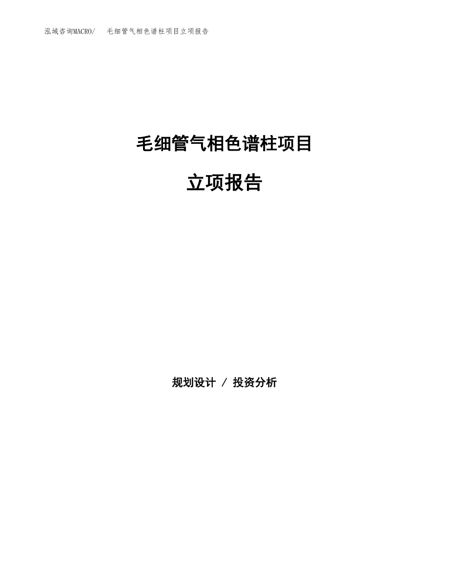 毛细管气相色谱柱项目立项报告(参考模板及重点内容).docx_第1页