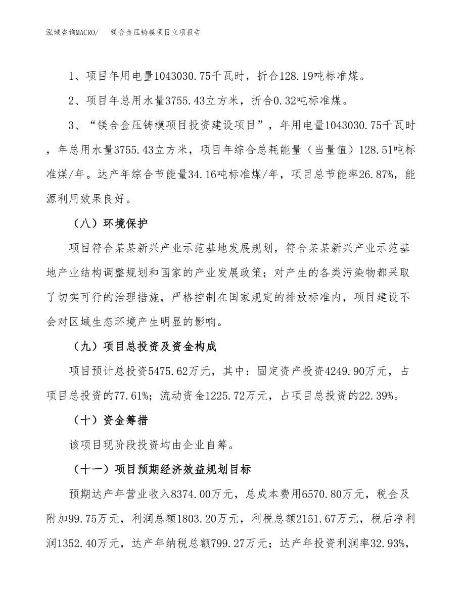 镁合金压铸模项目立项报告(参考模板及重点内容).docx_第5页