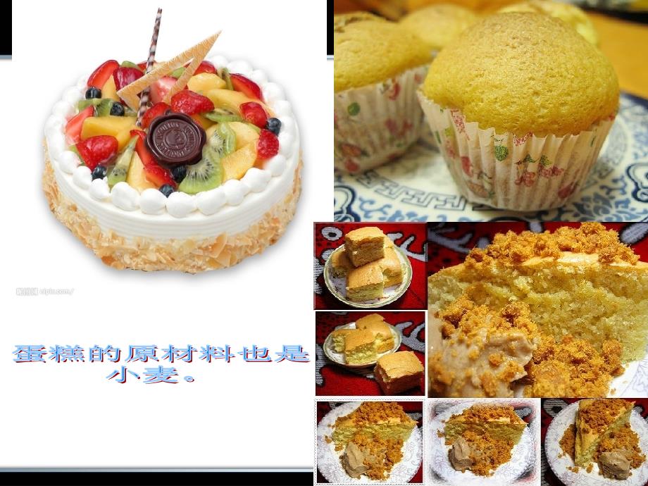 《食物从哪里来》.ppt_第3页