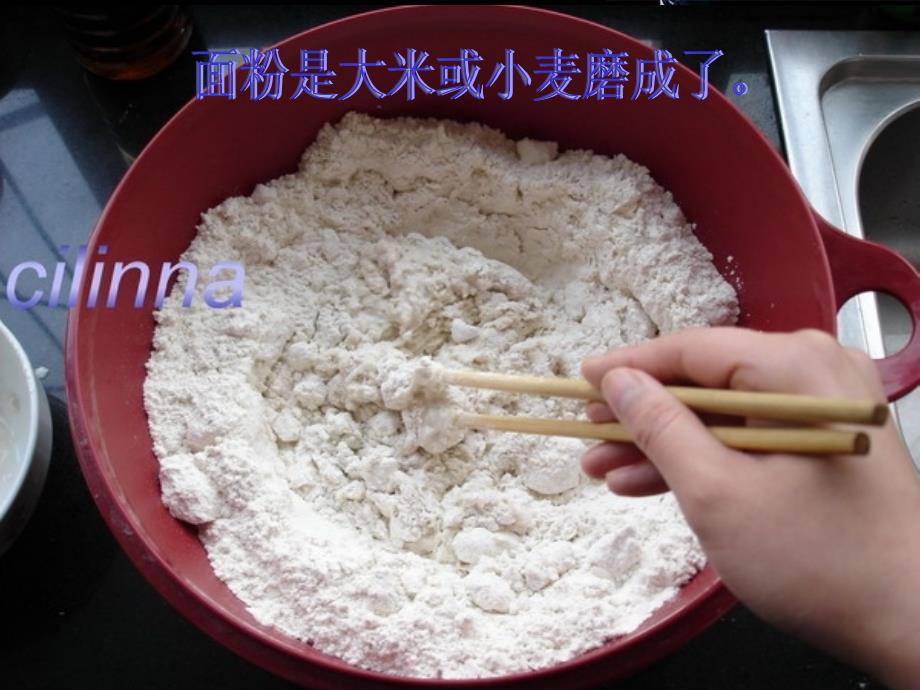 《食物从哪里来》.ppt_第4页