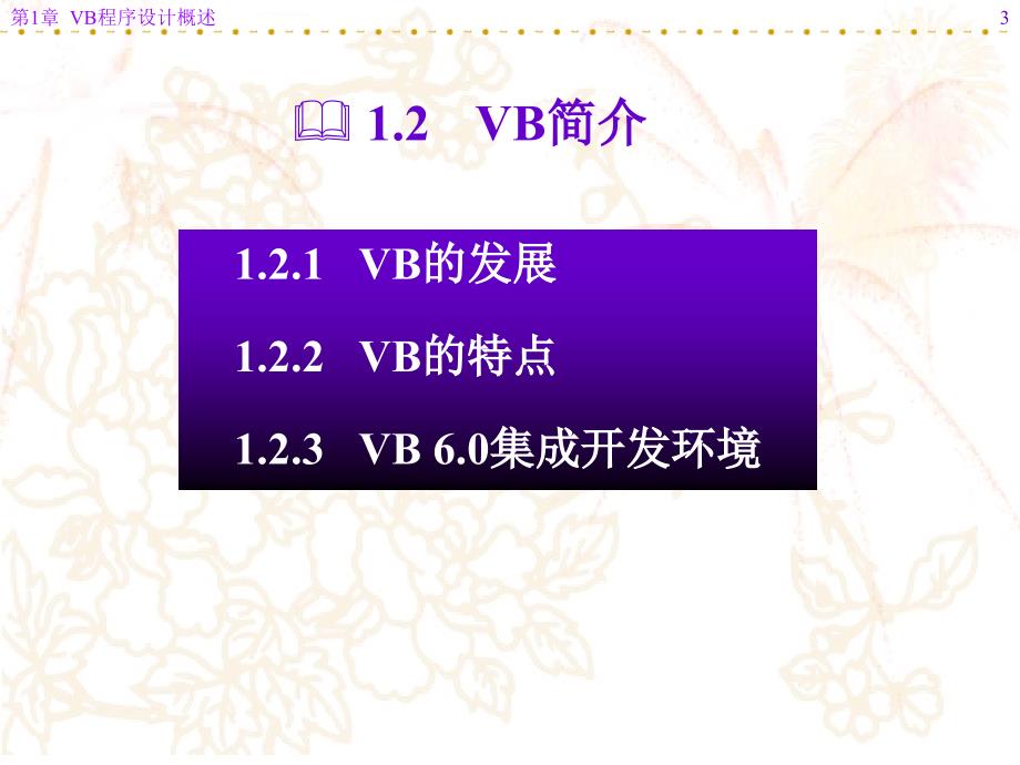 《vb程序设计概述》ppt课件_第3页