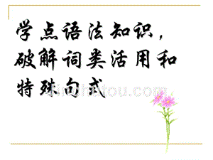 高中语文：现代汉语与古代汉语语法基础知识.ppt