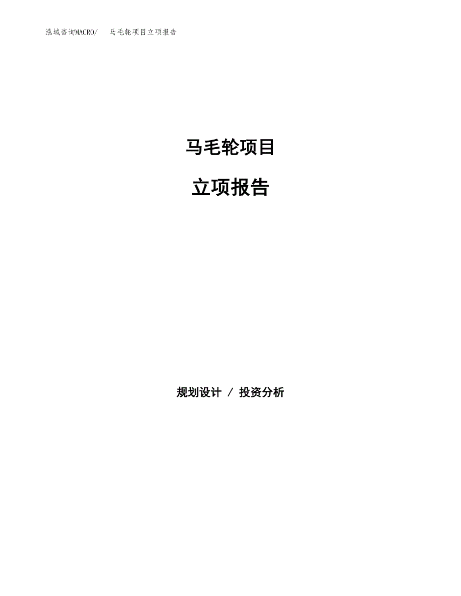 马毛轮项目立项报告(参考模板及重点内容).docx_第1页