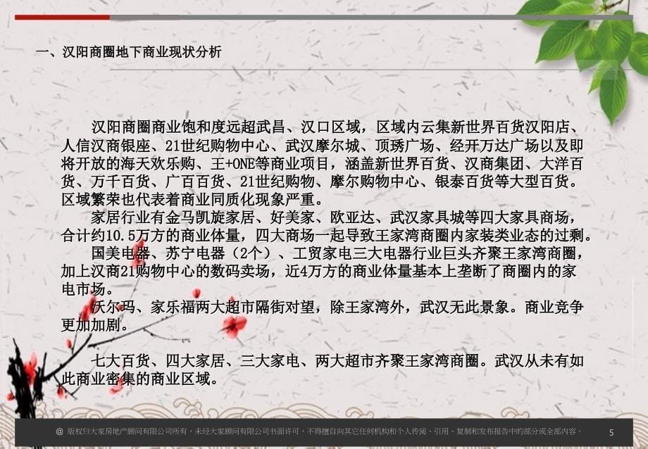 武汉龙阳村人信汇项目负一层商业规划书_第5页