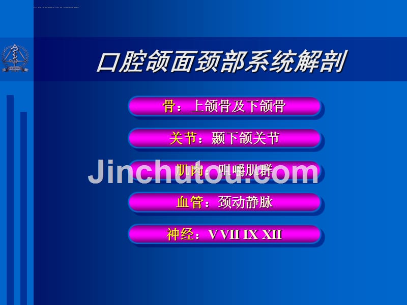 口腔颌面颈部解剖精品课件.ppt_第3页