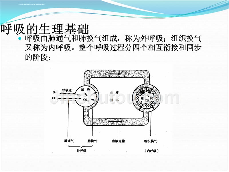 呼吸功能锻炼-(1).ppt_第4页