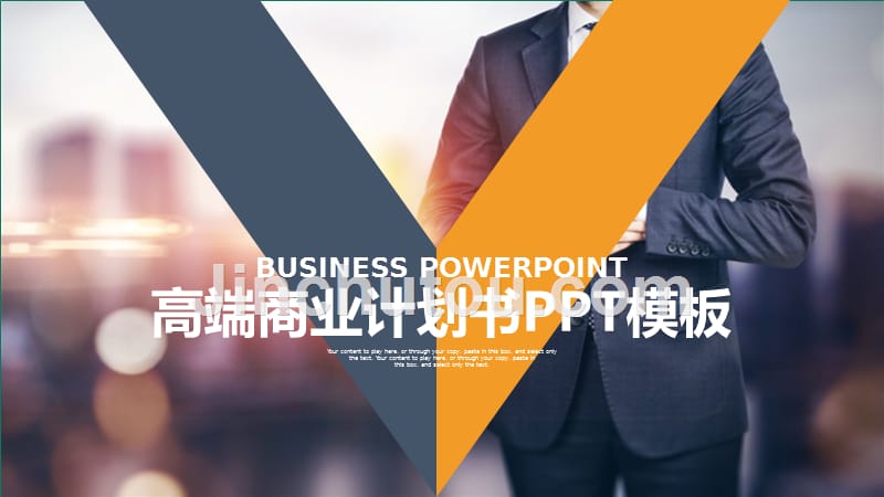 商务项目展示公司介绍商业计划书ppt模板.ppt_第1页