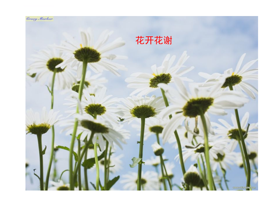 化学反应进行的方向精品课件.ppt_第4页