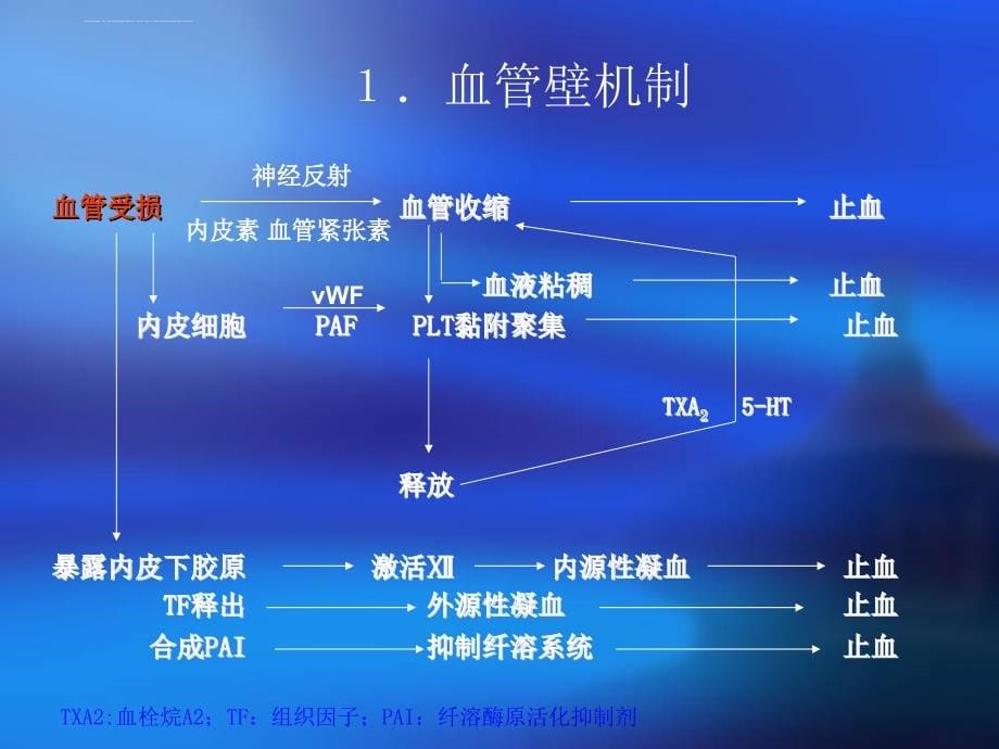 凝血常用指标解读.ppt_第5页