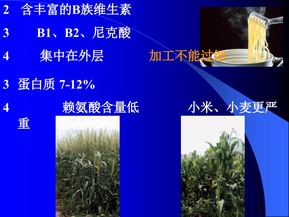 营养学基础-8-各类食物的营养特点.ppt_第4页