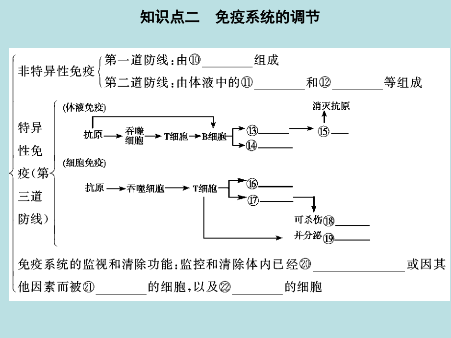 高中生物复习免疫调节人教版必修.ppt_第4页