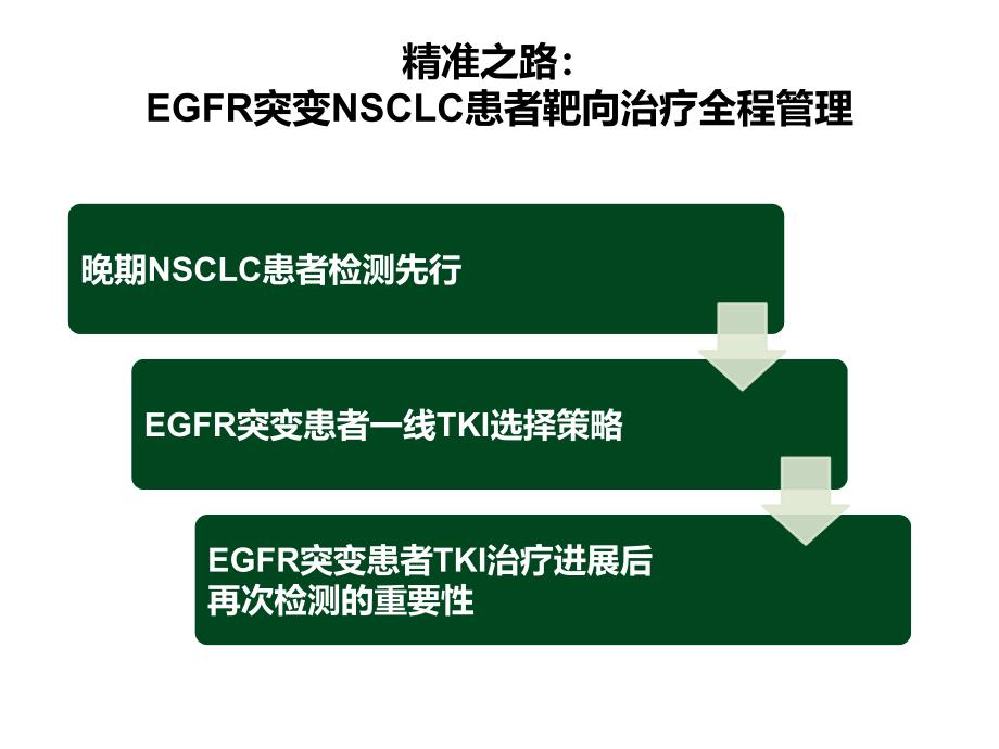 egfr突变nsclc患者靶向治疗全程管理.ppt_第2页