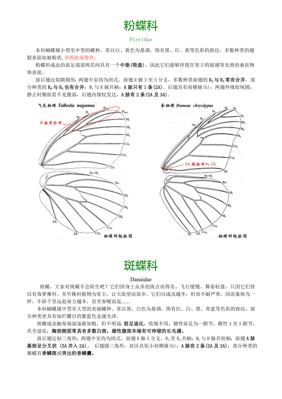 广州市常见蝴蝶识别活动教学设计_第2页
