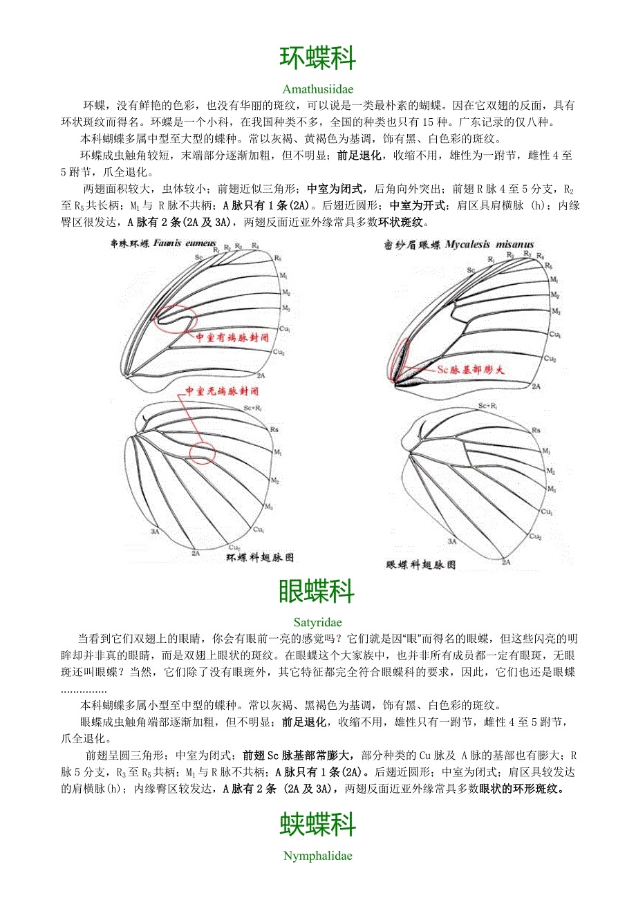 广州市常见蝴蝶识别活动教学设计_第3页