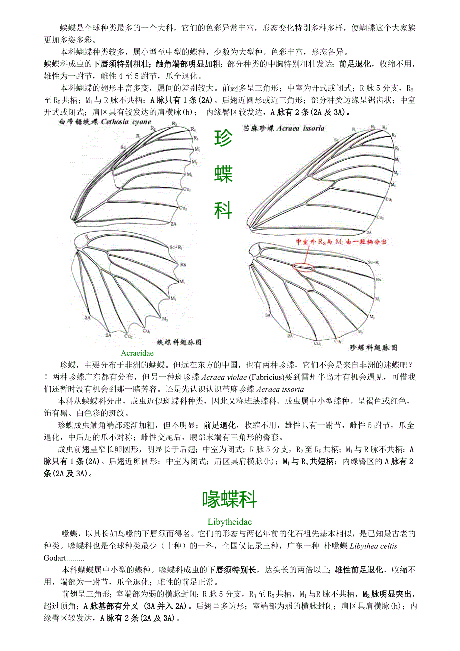 广州市常见蝴蝶识别活动教学设计_第4页