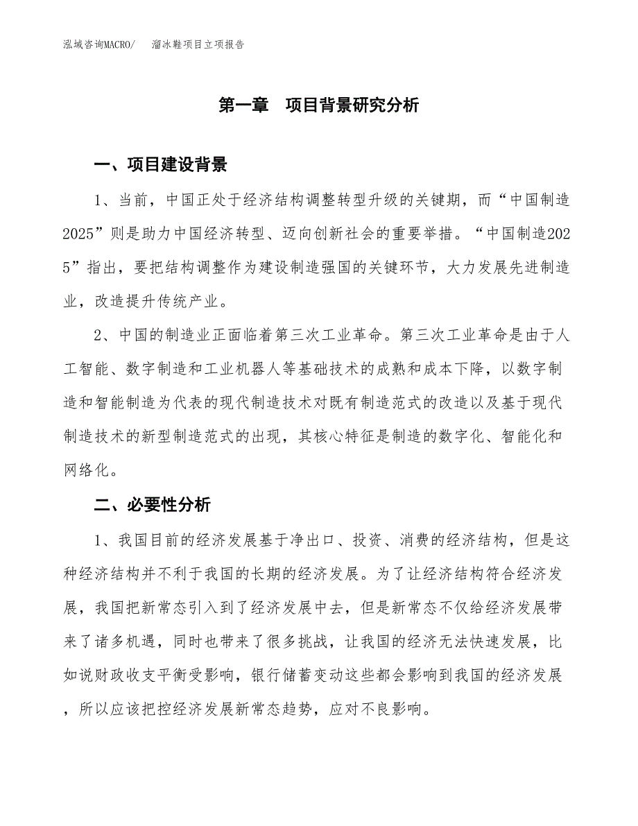 溜冰鞋项目立项报告(参考模板及重点内容).docx_第2页