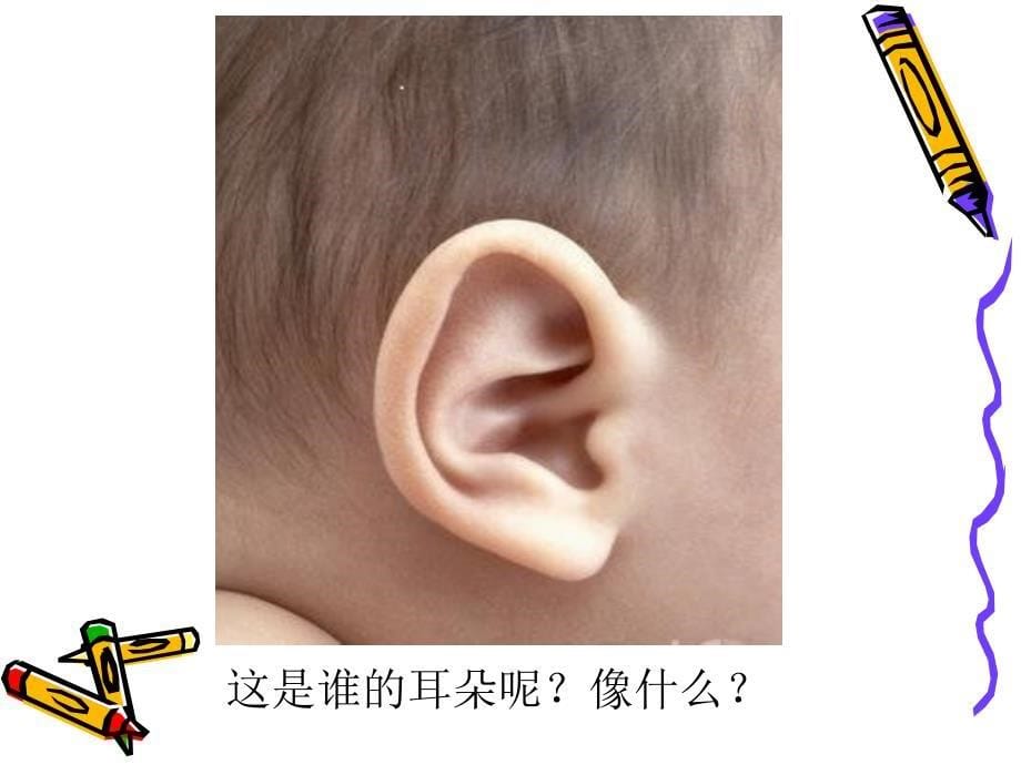 保护我的耳朵幼儿园.ppt_第5页