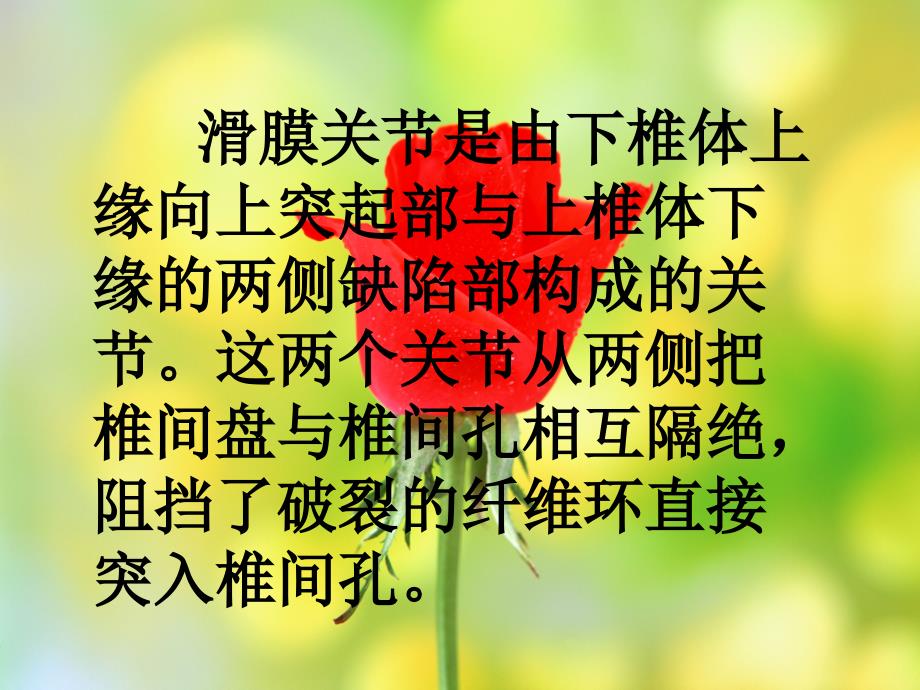 颈椎病调理讲座.ppt_第4页