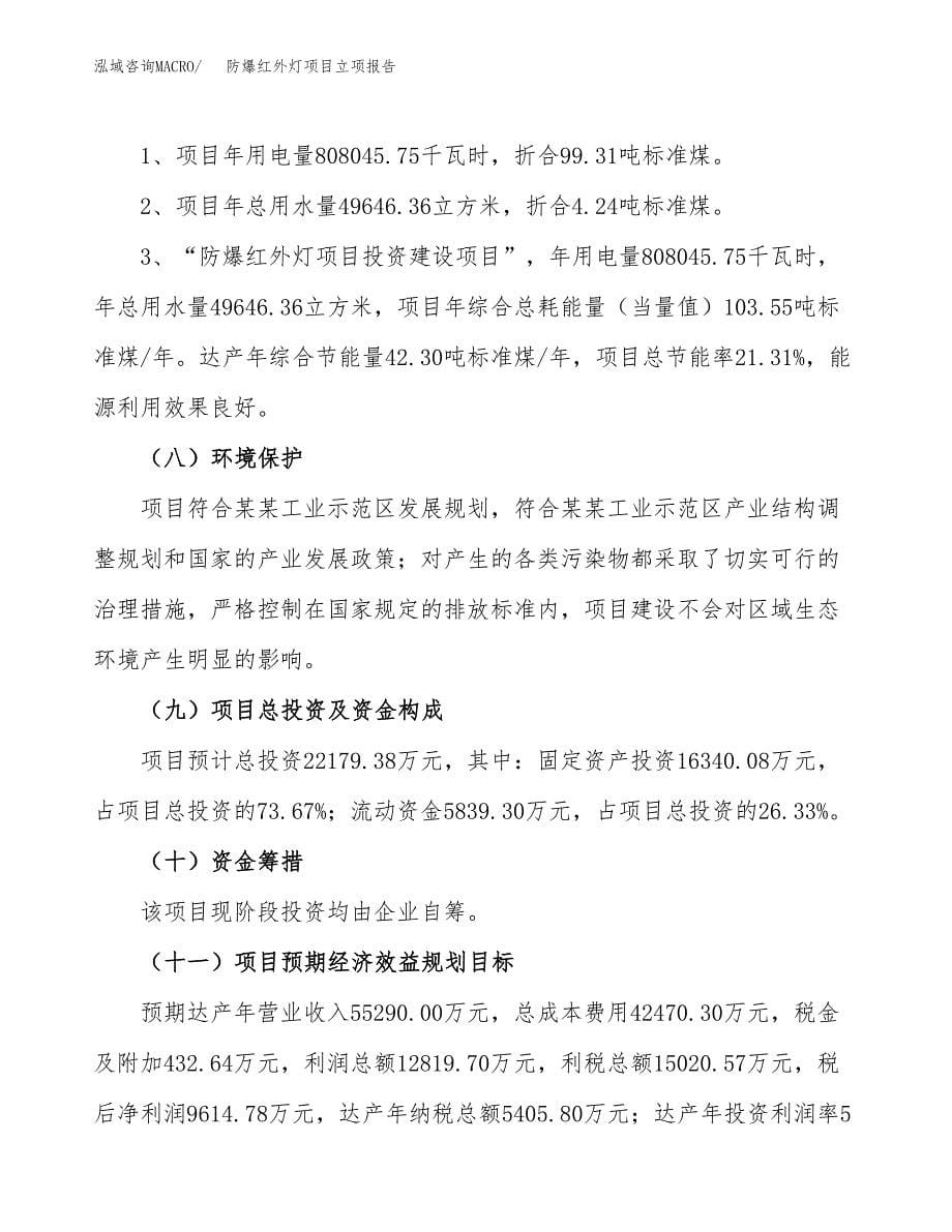 防爆红外灯项目立项报告(参考模板及重点内容).docx_第5页