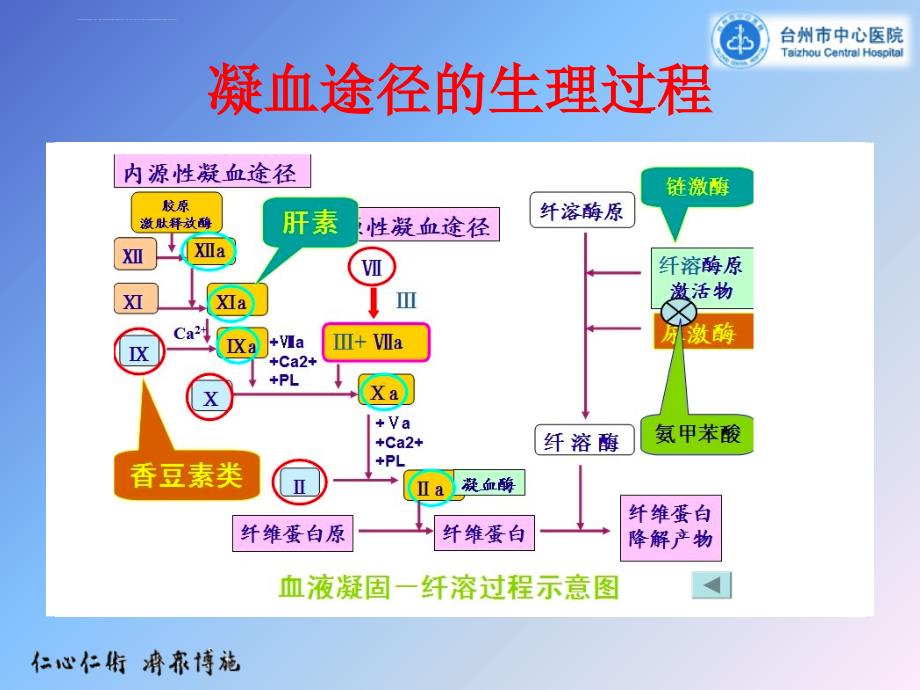 常见凝血功能异常的临床思维-新.ppt_第2页