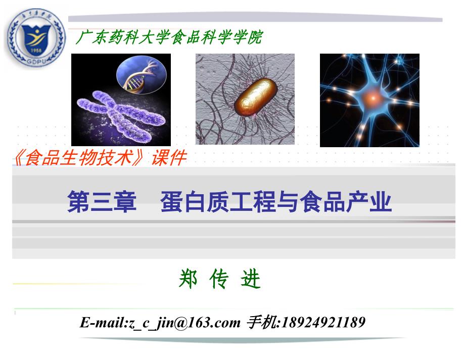 食品生物技术导论-蛋白质工程与食品产业.ppt_第1页