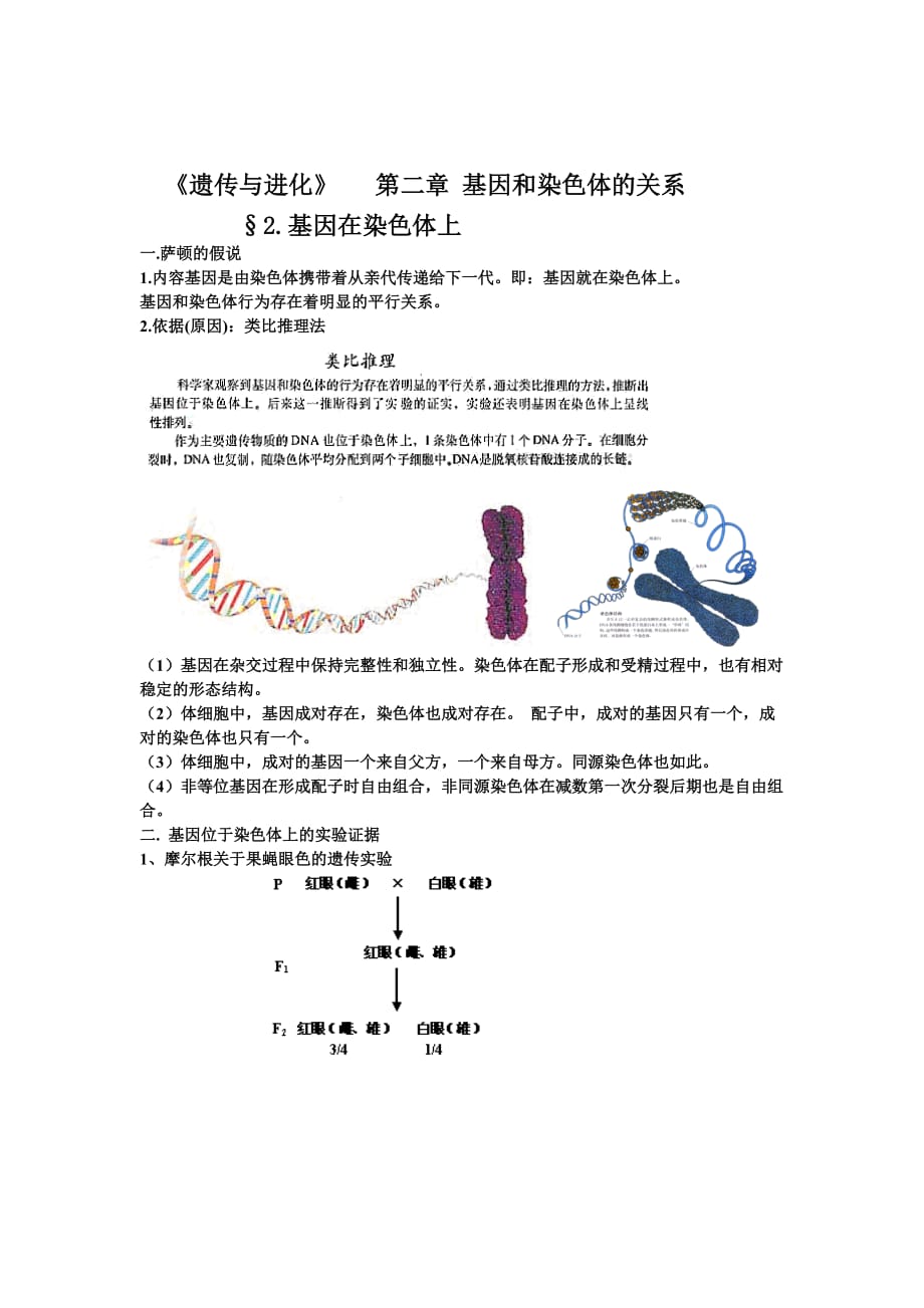 基因在染色体上伴性遗传1复习教案_第3页