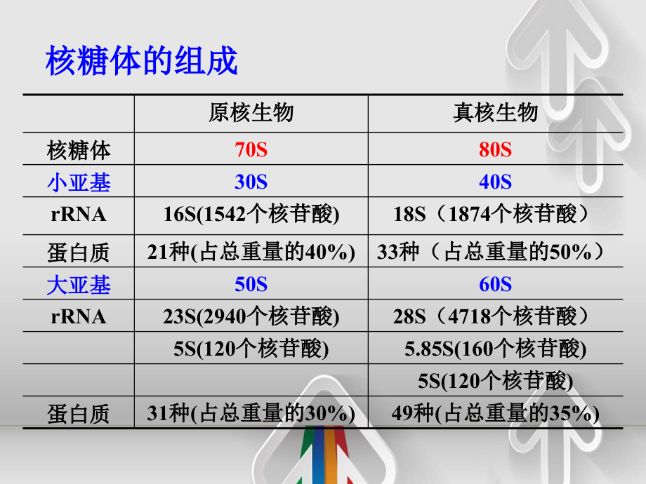 生命活动基本单位细胞_第2页