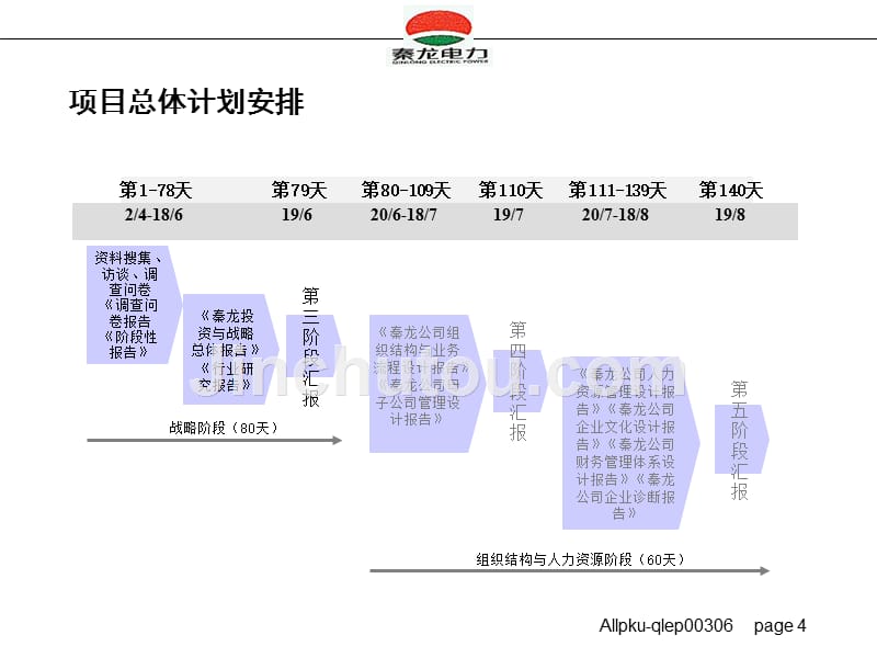 （精品文档）2019年电力公司投资与战略发展总体报告_第4页