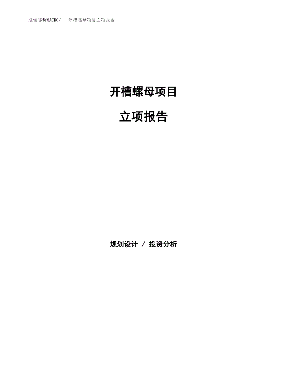 开槽螺母项目立项报告(参考模板及重点内容).docx_第1页