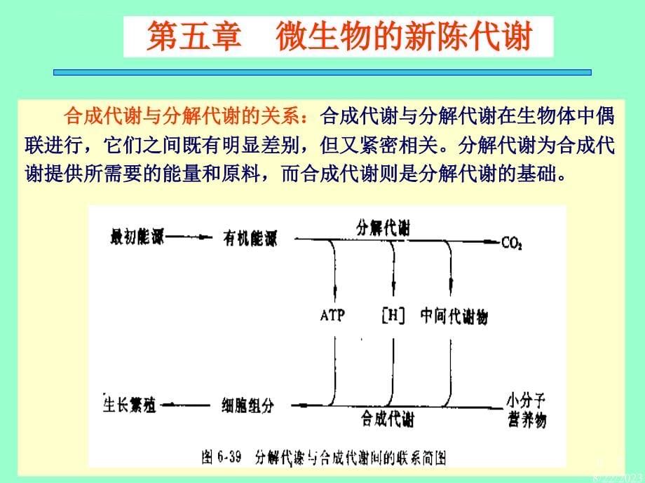 微生物学微生物的新陈代谢.ppt_第5页