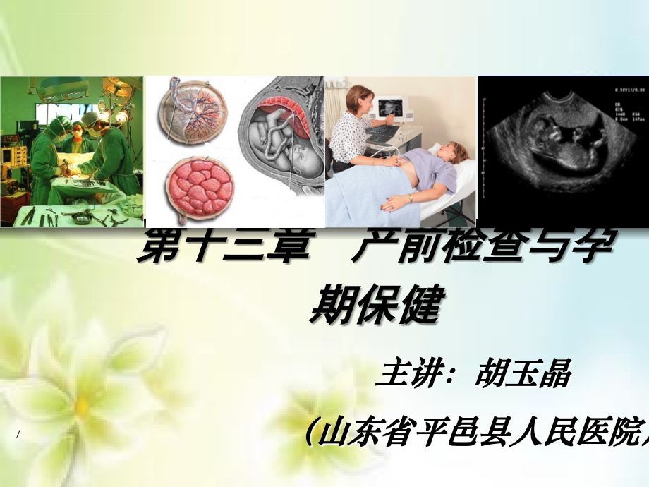 第十三章---产前检查与孕期保健.ppt_第1页