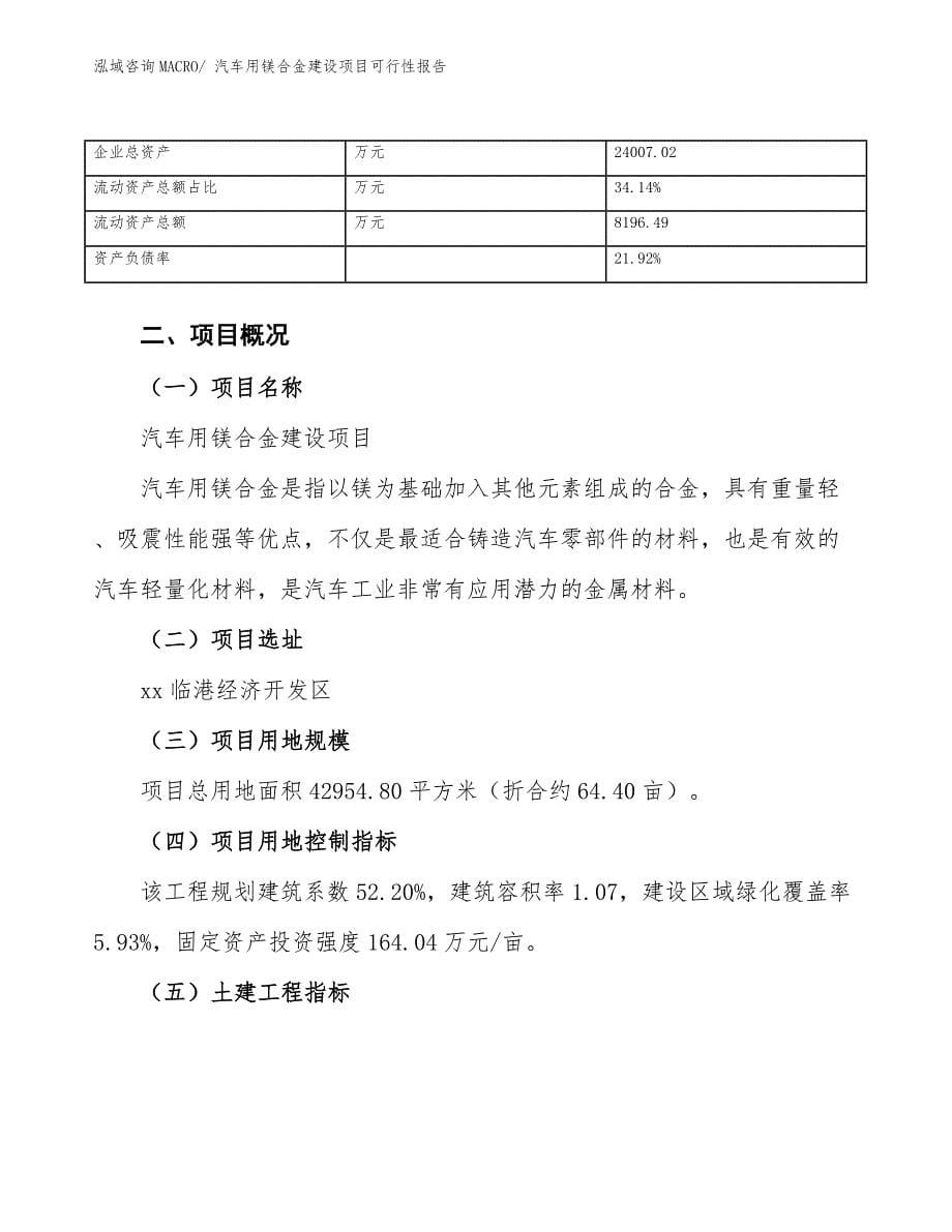 汽车用镁合金建设项目可行性报告.docx_第5页