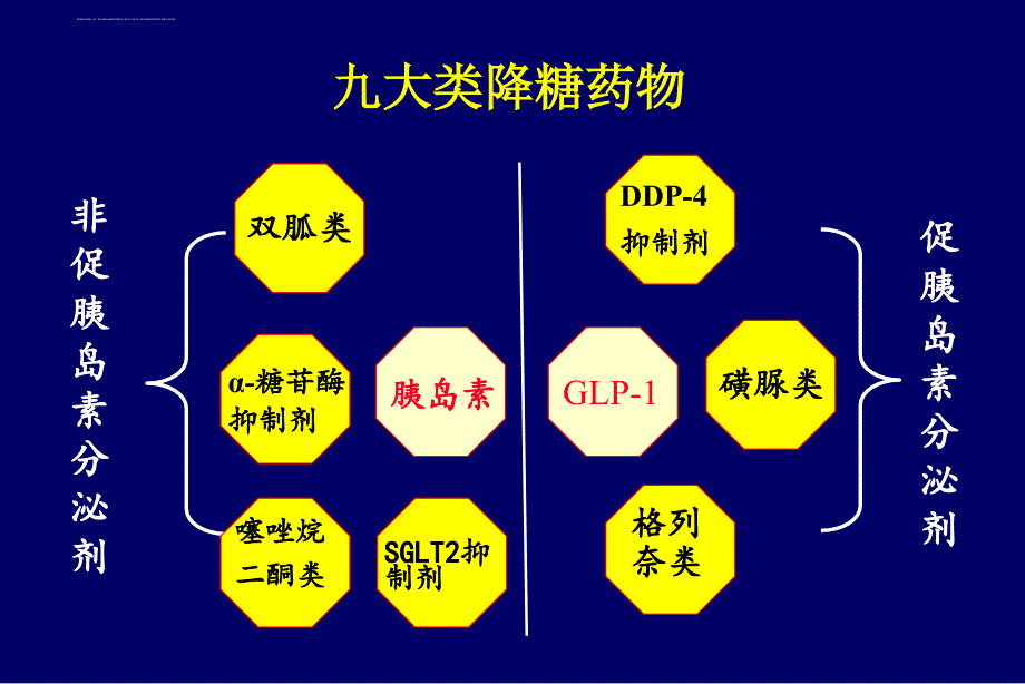 糖尿病降糖药物.ppt_第4页