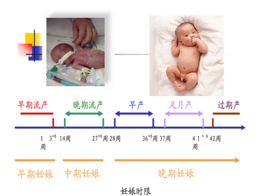 正常分娩(9版妇产科学课件).ppt_第3页